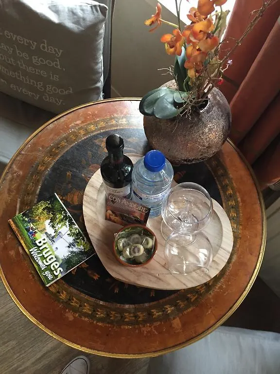 *** Oda ve Kahvaltı B&B Con Ampere Brugge Belçika